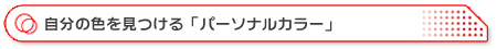 ̐Fup[\iJ[v]